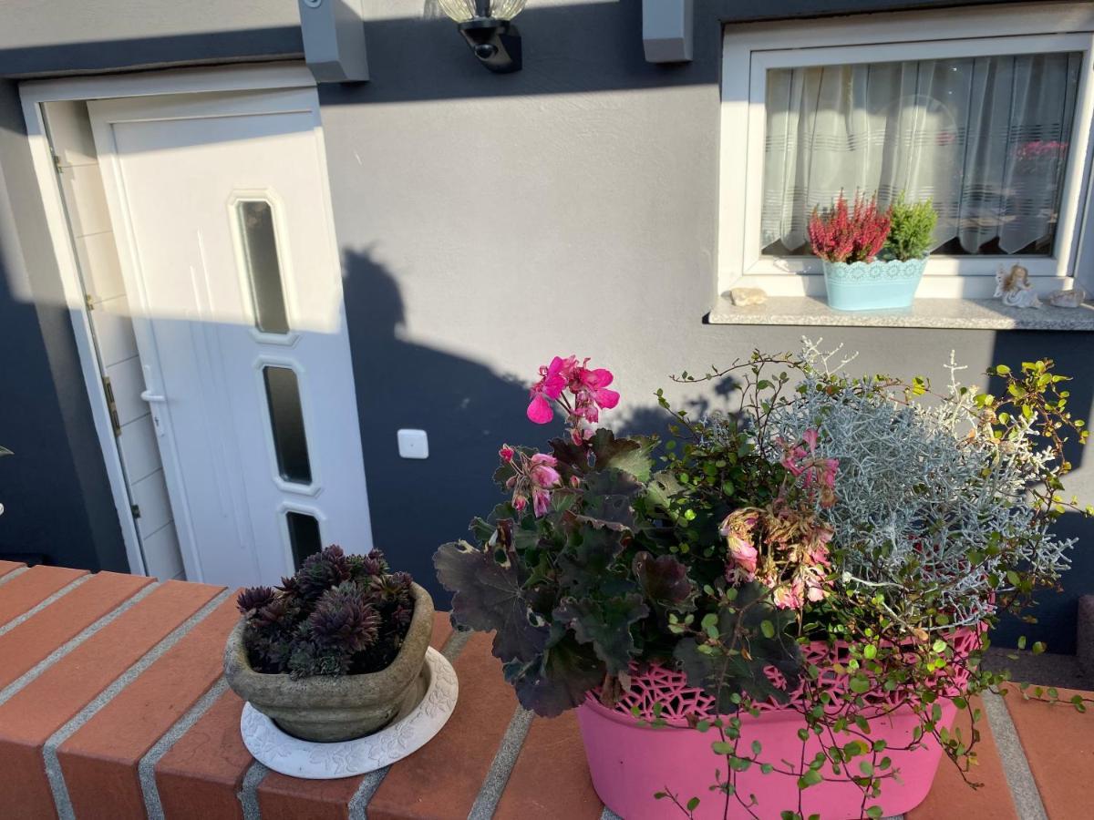 Ferienwohnung Rosenweg Schmalkalden Extérieur photo